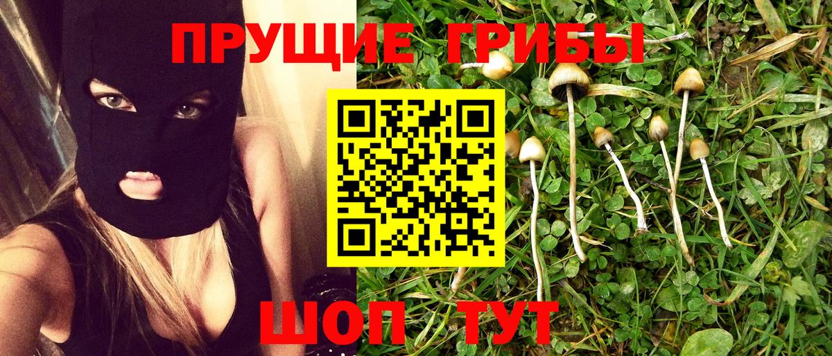 Кимры  Галлюциногенные грибы мицелий  Вход с VPN 